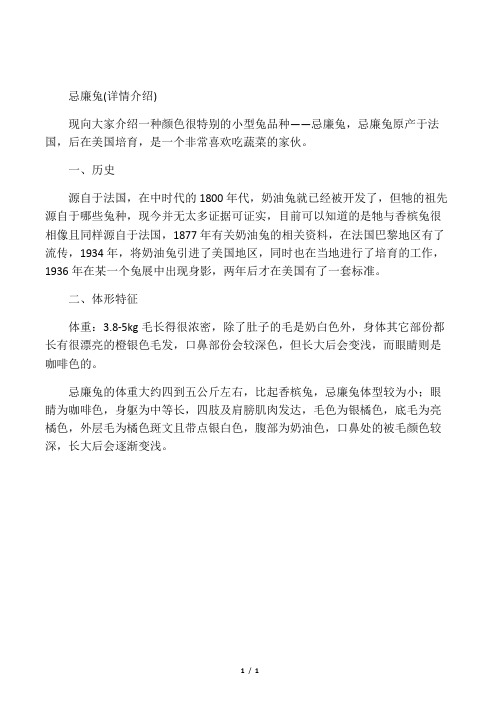 活泼可爱的忌廉兔