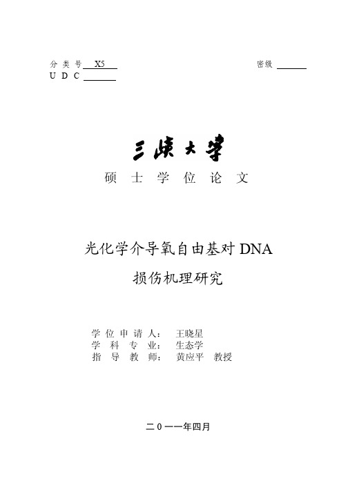 光化学介导氧自由基对+DNA损伤机理研究