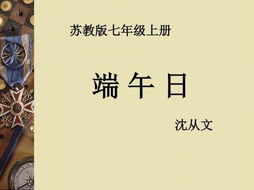 端午日PPT课件48 苏教版 (共28张PPT)