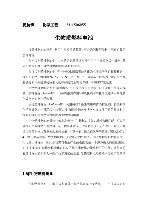 生物质燃料电池