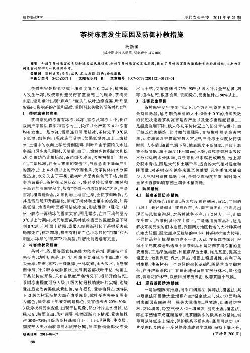 茶树冻害发生原因及防御补救措施
