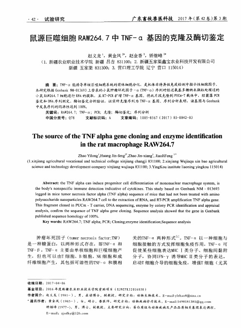 鼠源巨噬细胞RAW264.7中TNF-α基因的克隆及酶切鉴定