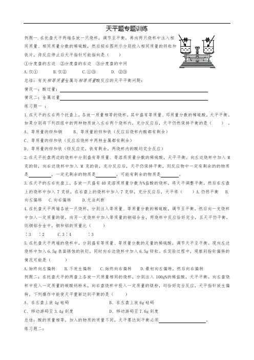 初三化学天平题专题训练