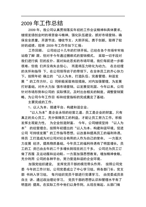2009年公司工作总结
