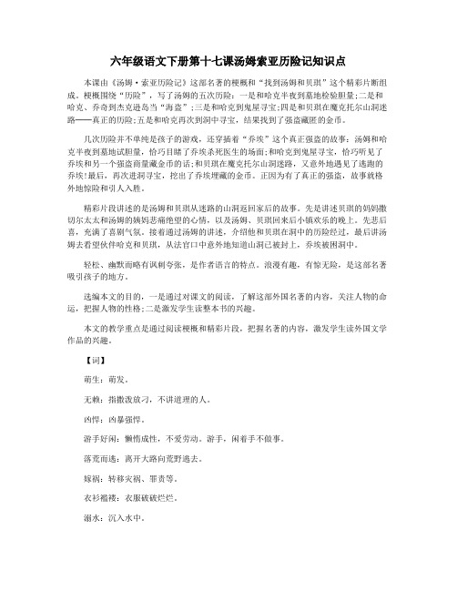 六年级语文下册第十七课汤姆索亚历险记知识点