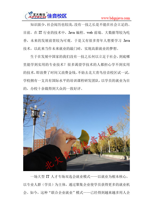 男人适合学什么手艺好