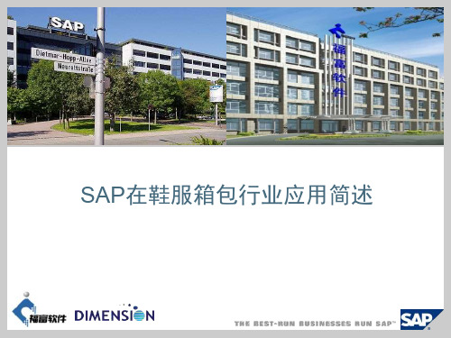SAP+鞋服箱包行业应用简述