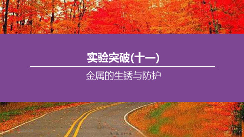 中考化学复习方案实验突破11金属的生锈与防护