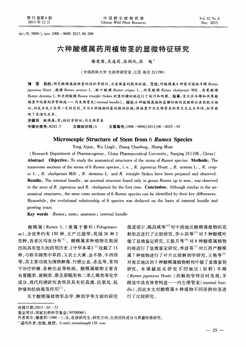 六种酸模属药用植物茎的显微特征研究