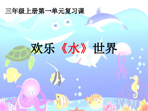 最新教科版三年级科学上册《第一单元复习课》优质教学课件