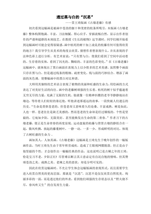 透过黑与白的“沉思”