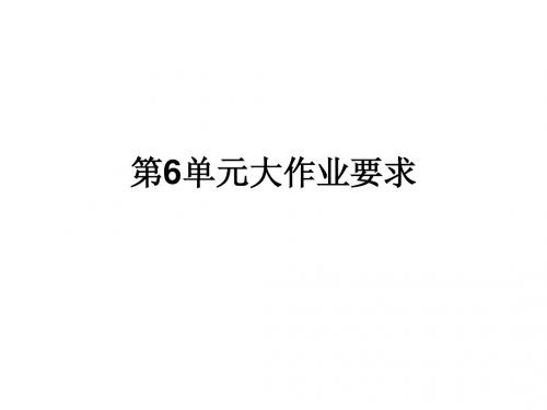 第6单元大作业要求