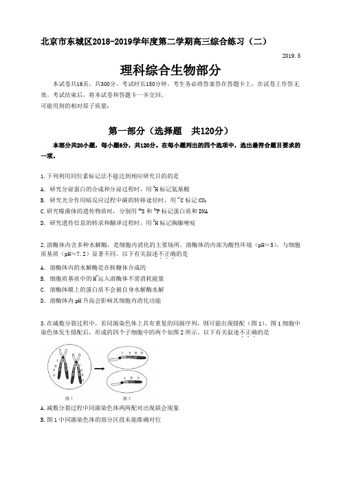 北京市东城区2018-2019学年度第二学期高三综合练习(二)