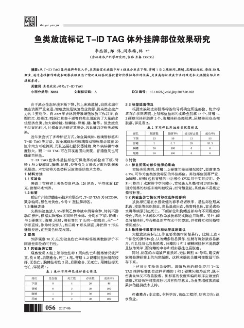 鱼类放流标记T-ID TAG体外挂牌部位效果研究
