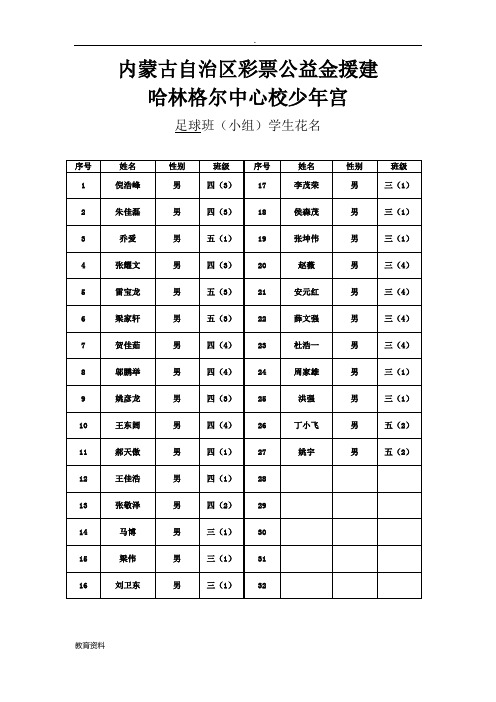 王怀宇少年宫足球活动花名、计划、记录