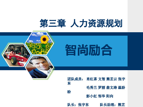 人力资源规划ppt