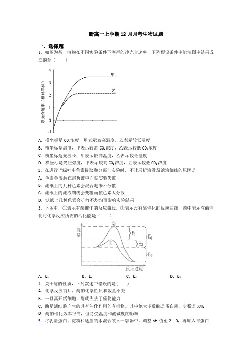 新高一上学期12月月考生物试题