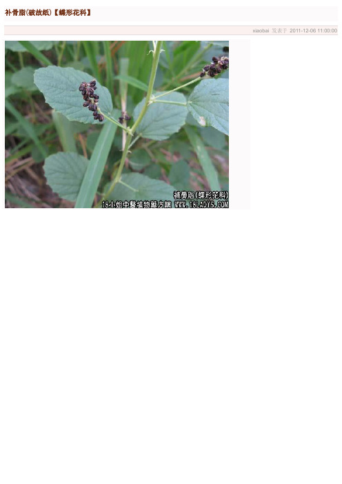 补骨脂(破故纸)