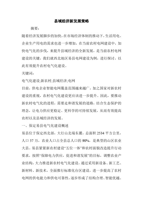 县域经济新发展策略.doc