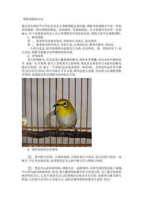 绣眼鸟的调教方法