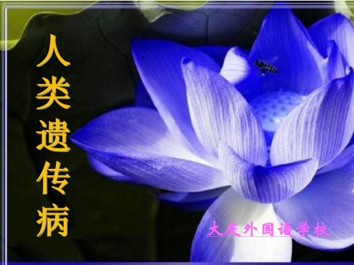 人类遗传病公开课课件