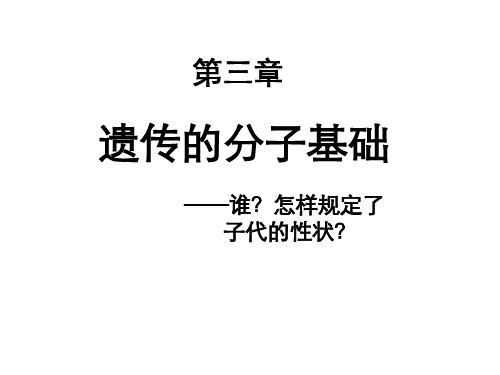 RNA和蛋白质的合成(共9张PPT)