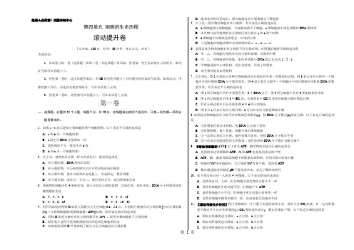 第04单元 细胞的生命历程(滚动提升卷)-2021年高考生物单元滚动双测卷(一轮复习)(考试版)