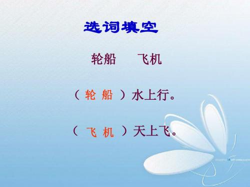 水上飞机 (1)