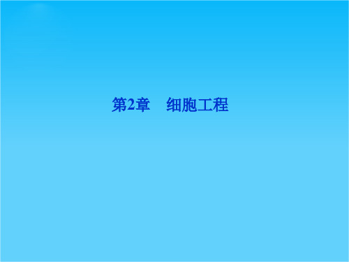 优化方案高考生物总复习  苏教版 (江苏专用)(课件)选修3第2章