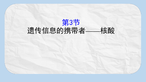 高中生物第二章组成细胞的分子2.3遗传信息的携带者__核酸课件新人教版必修1