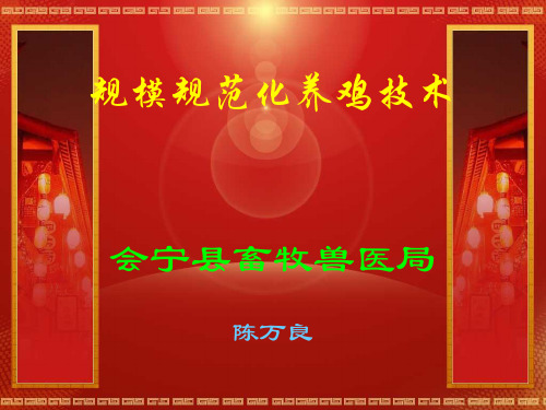 规模养鸡技术课件.doc