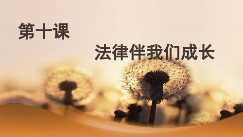 10第十课 法律伴成长