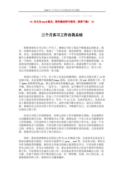 2019年三个月实习工作自我总结-范文模板 (2页)