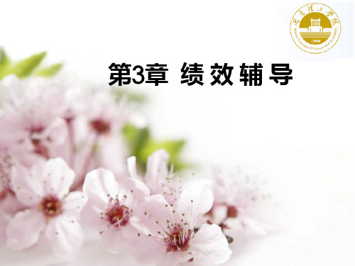 第3章绩效辅导