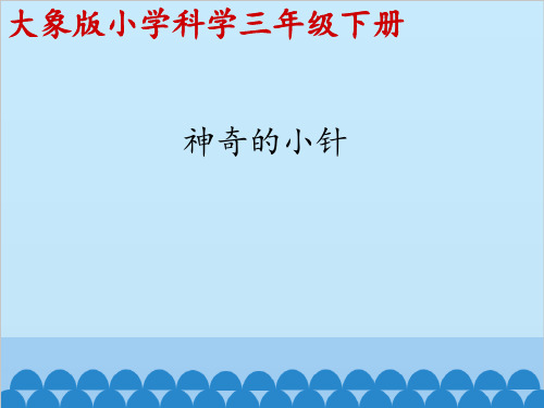 神奇的小针