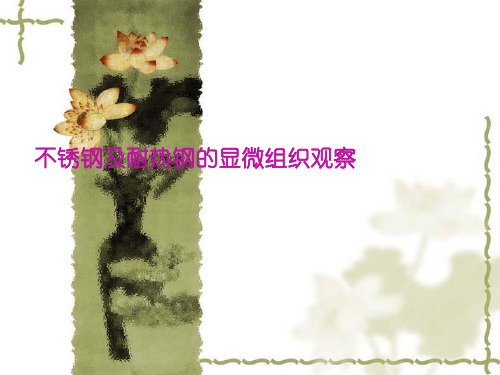 【金属材料学实验】4-不锈钢及耐热钢的显微组织观察