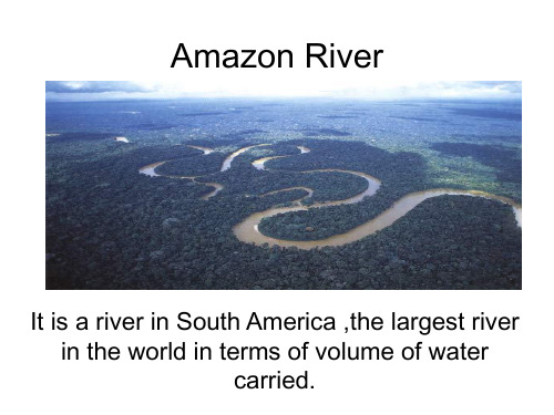 Amazon River