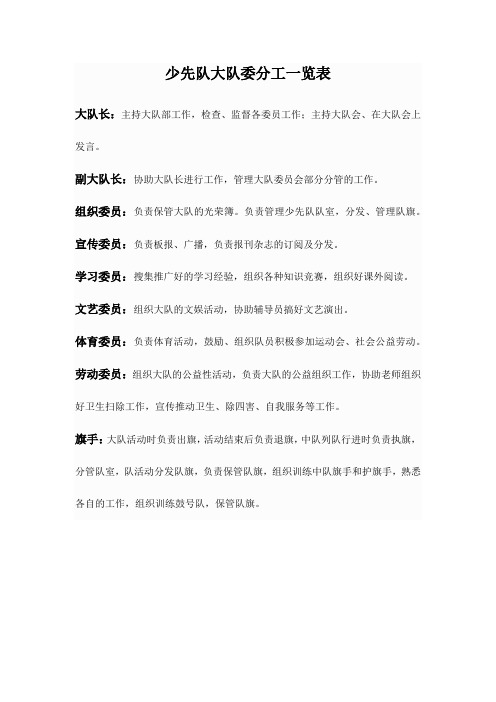 少先队大队委分工一览表