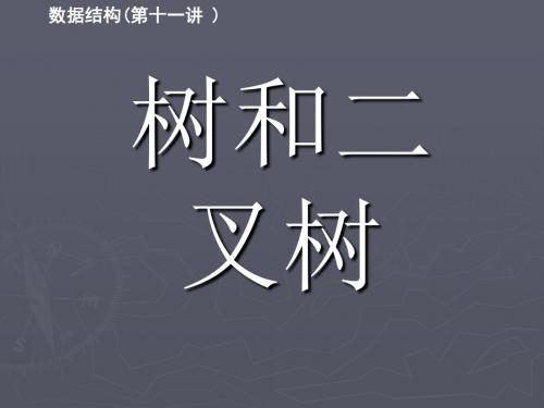 《树和二叉树》PPT课件
