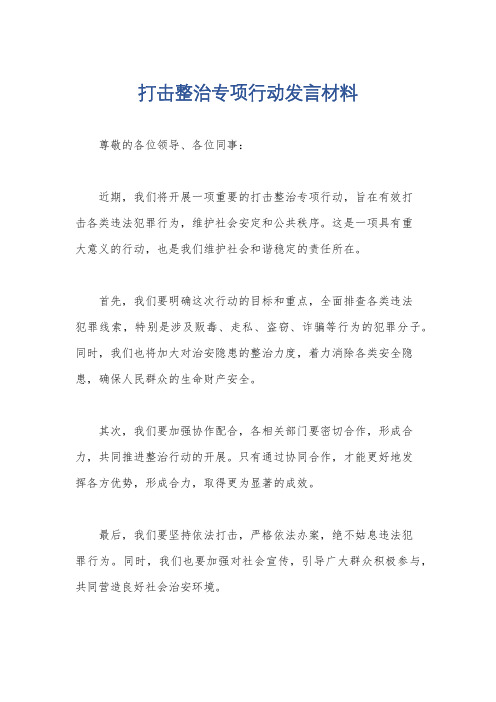 打击整治专项行动发言材料