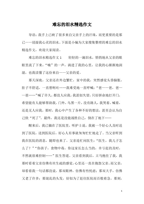 难忘的泪水精选作文