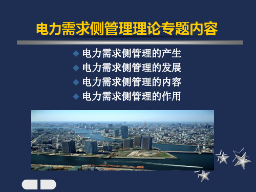 【学习课件】第十一章电力需求侧管理