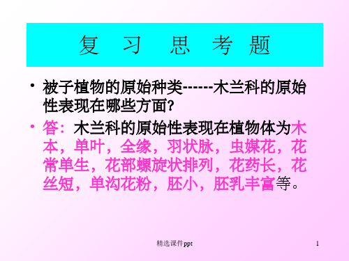 《山茶科Theacea》PPT课件