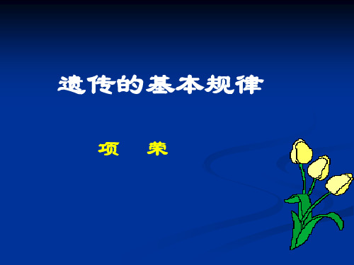 遗传基本规律MicrosoftPowerPoint演示文稿ppt课件