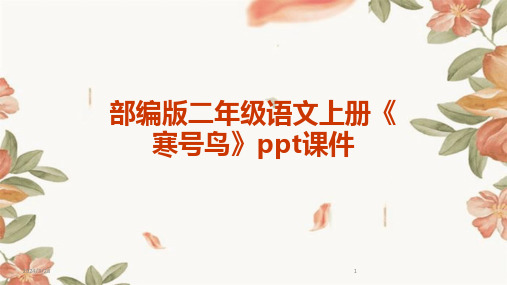 部编版二年级语文上册《寒号鸟》ppt课件-2024鲜版