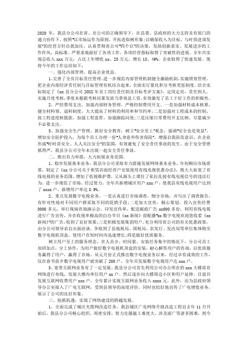 分公司2020年度工作总结.docx