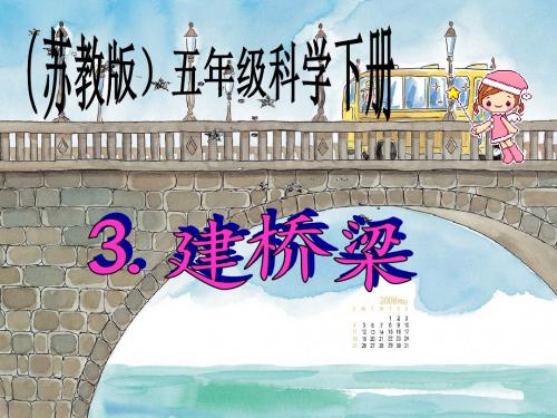 建桥梁课件PPT下载3 苏教版五年级科学下册课件