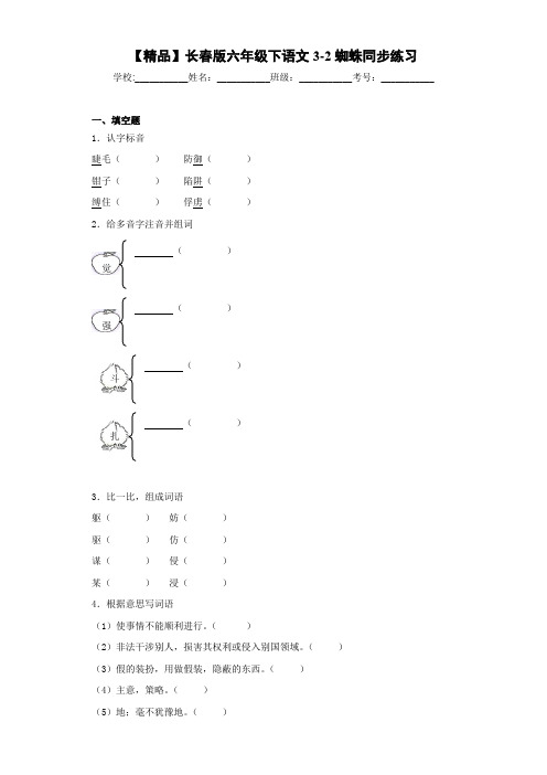 小学六年级下语文3-2蜘蛛同步练习(含答案解析)