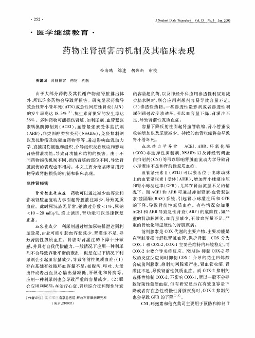 药物性肾损害的机制及其临床表现