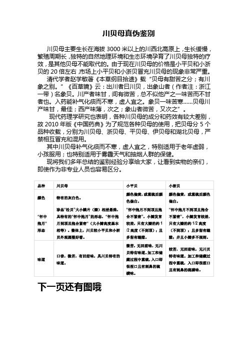 川贝母真伪鉴别(图文版)